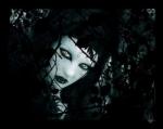 L'album des demons et demones